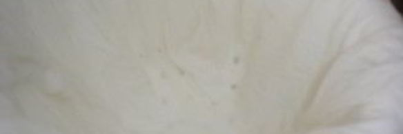 капуста, фаршированная мясом