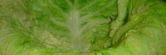 капуста, фаршированная мясом