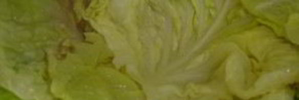 капуста, фаршированная мясом