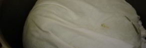 капуста, фаршированная мясом