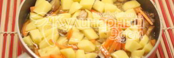 картофель тушеный с белыми грибами