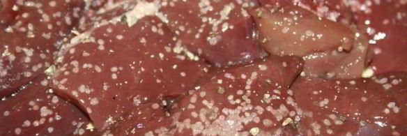 индюшиная печень с овощами в сметанном соусе в мультиварке