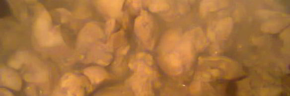 куриная печень с рисом