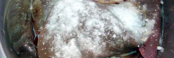 печень говяжья по-строгановски классически