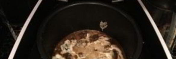 печень в мультиварке со сметаной