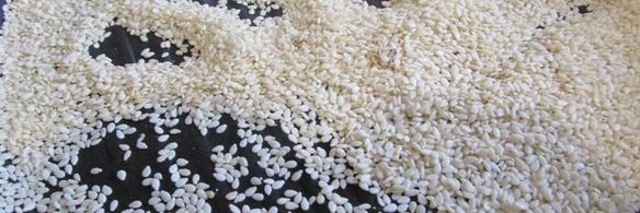 закусочные шарики с печенью трески