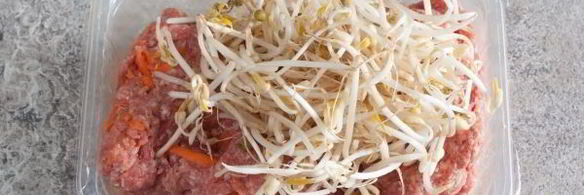 пельмени из цельнозерновой муки