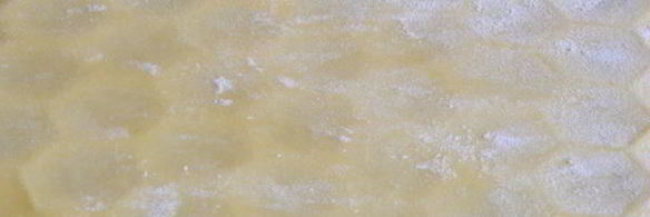 пельменное тесто на желтках