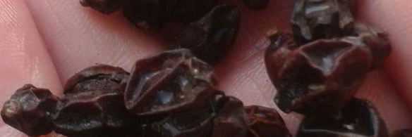 плов из курицы на здоровье