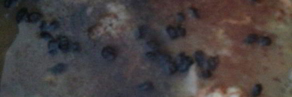 плов из курицы на здоровье