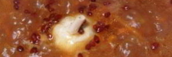 плов из свинины в казане