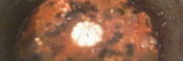 плов с бараньими ребрышками