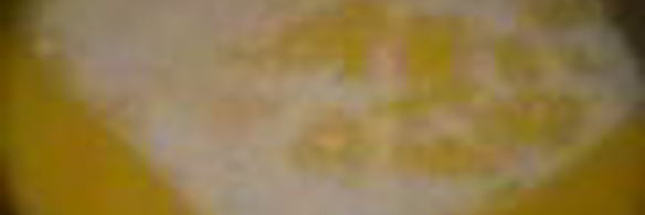 плов с мясом