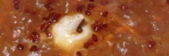 плов со свининой