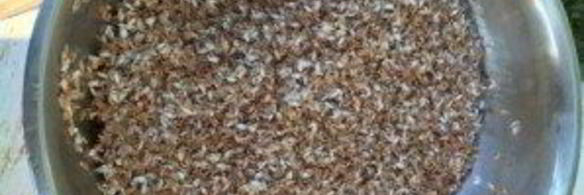 плов узбекский классический