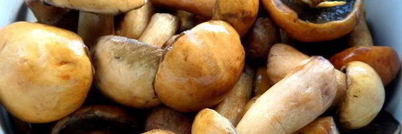 грибное рагу в горшочках