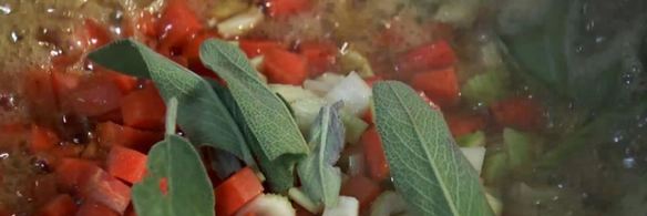 рагу болоньезе