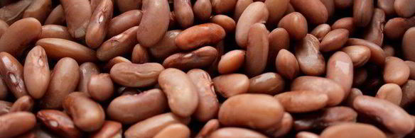 рагу из курицы с фасолью и запеченным чесноком