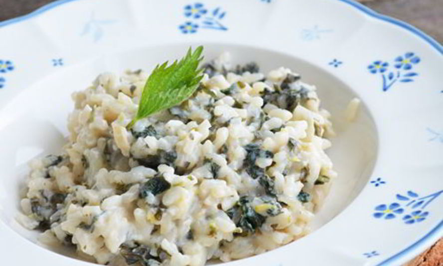 Рецепт ризотто с крапивой и козьим сыром