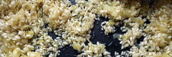 ризотто с красным вином