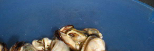 желтое ризотто с морепродуктами