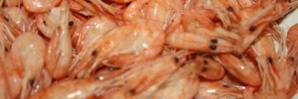 черноморские креветки к пиву