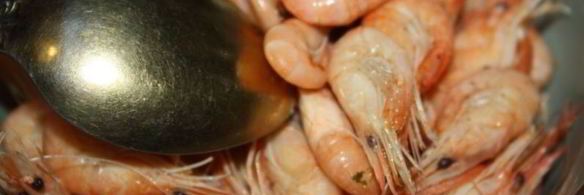 черноморские креветки к пиву