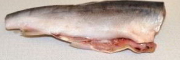 горбуша малосольная