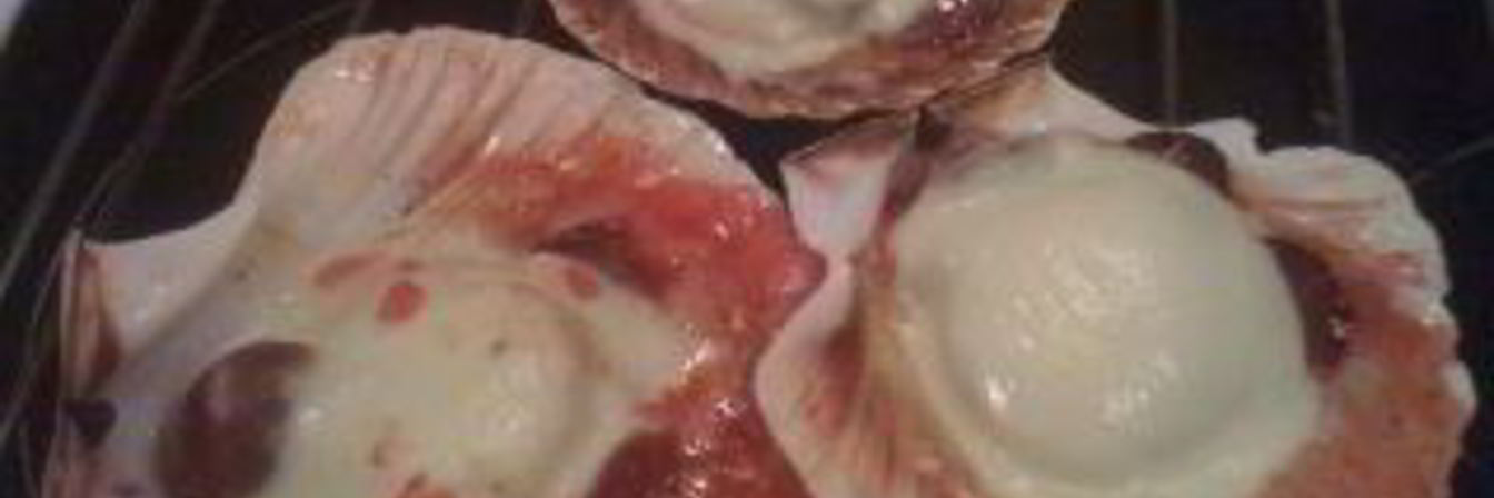 Гребешки в виноградном соусе