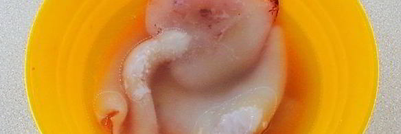 кальмары, тушенные в молоке