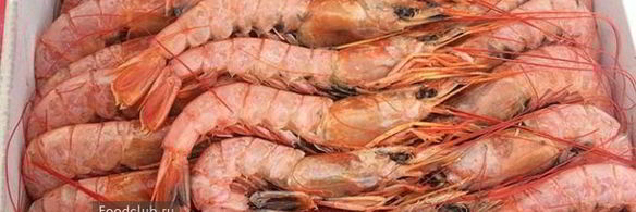 лангустины на гриле