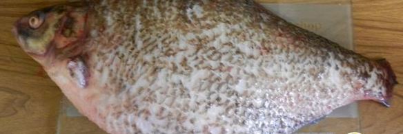 лещ с запеченым картофелем