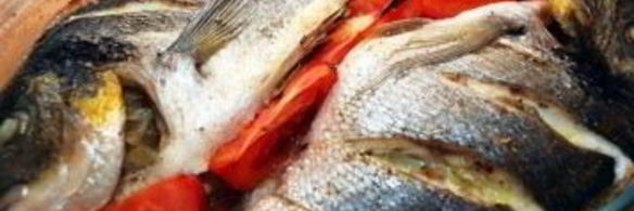 рыба дорада