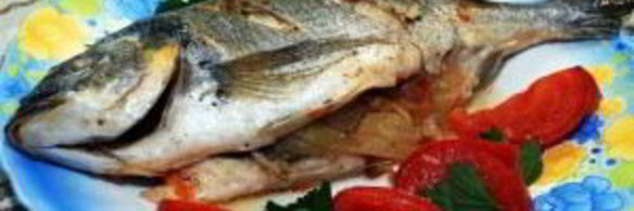 рыба дорада