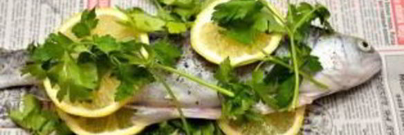 рыба на гриле