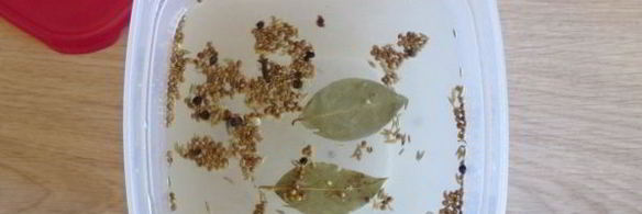 сельдь пряного посола