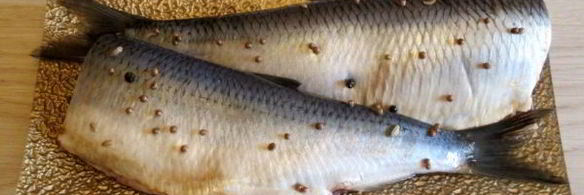 сельдь пряного посола