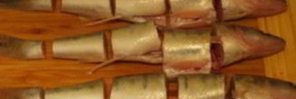 заливной судак