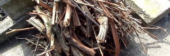 грузинский шашлык без маринада из свинины