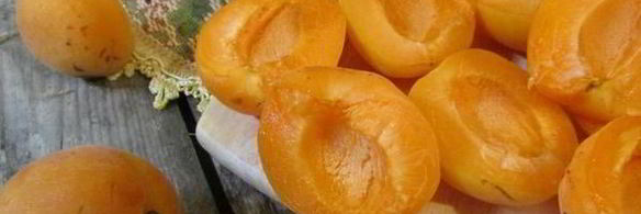 шашлычки из курицы с абрикосами в арахисово-кокосовом маринаде