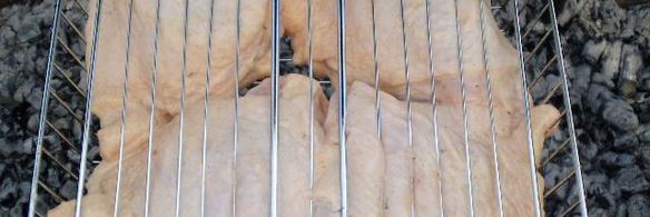 шашлык из бедрышек
