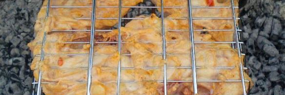 шашлык из бедрышек