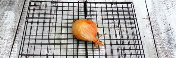 шашлык из куриной грудки в беконе