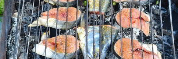 шашлык из рыбы на решетке