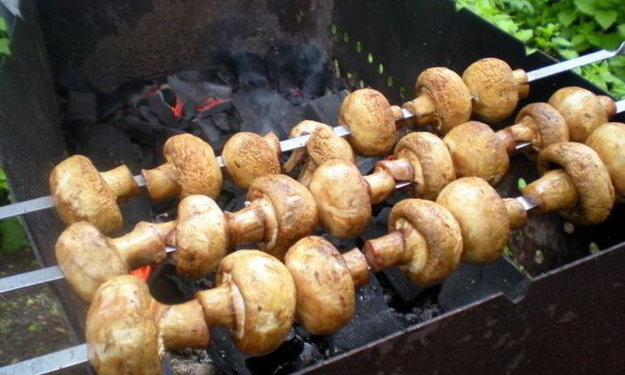 Рецепт шашлыка из шампиньонов