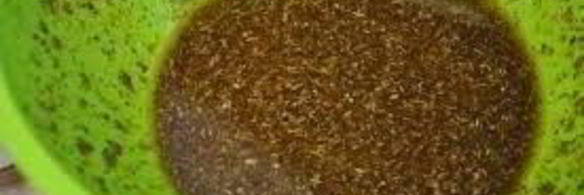 шашлык по-царски