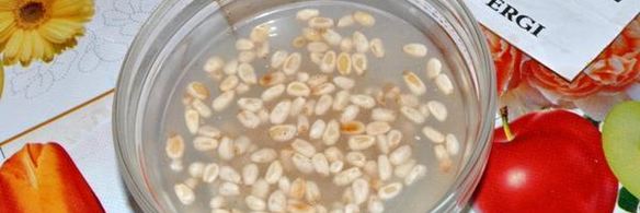 стейк с брюссельской капустой и сельдереем