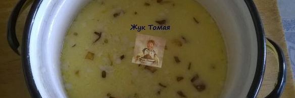 куриные тефтели в молочно-сырном соусе