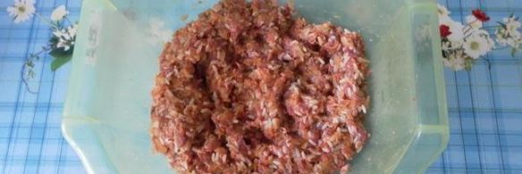 мясные тефтели с рисом и овощами в томатном соусе