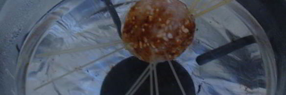 осьминожки из тефтелек и спагетти